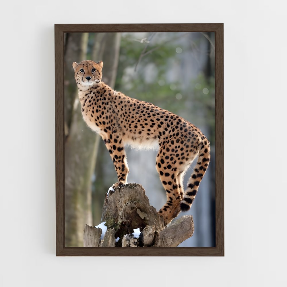 ap-cheetah-6 cadre Bois foncé