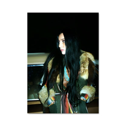 Poster Cher 50990