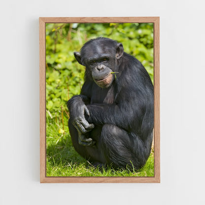 ap-chimpanzee-4 cadre Bois clair