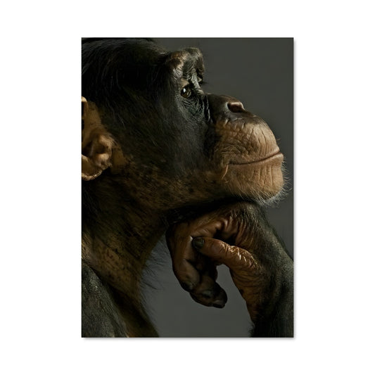 Poster Cri de la Jungle