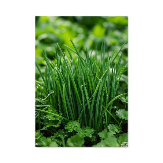 Poster Pluie de Vert