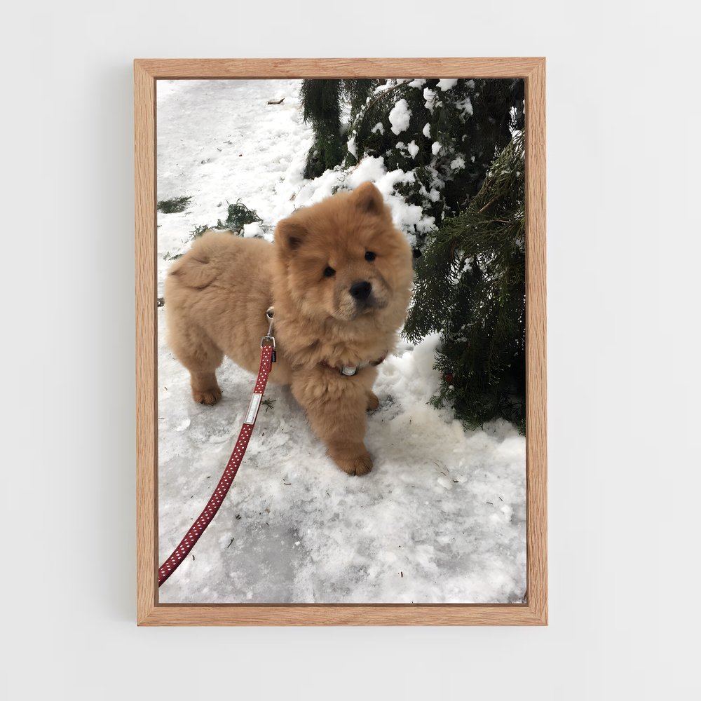 ap-chow chow-1 cadre Bois clair