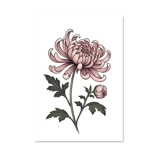 Poster Chrysanthemum 96495
