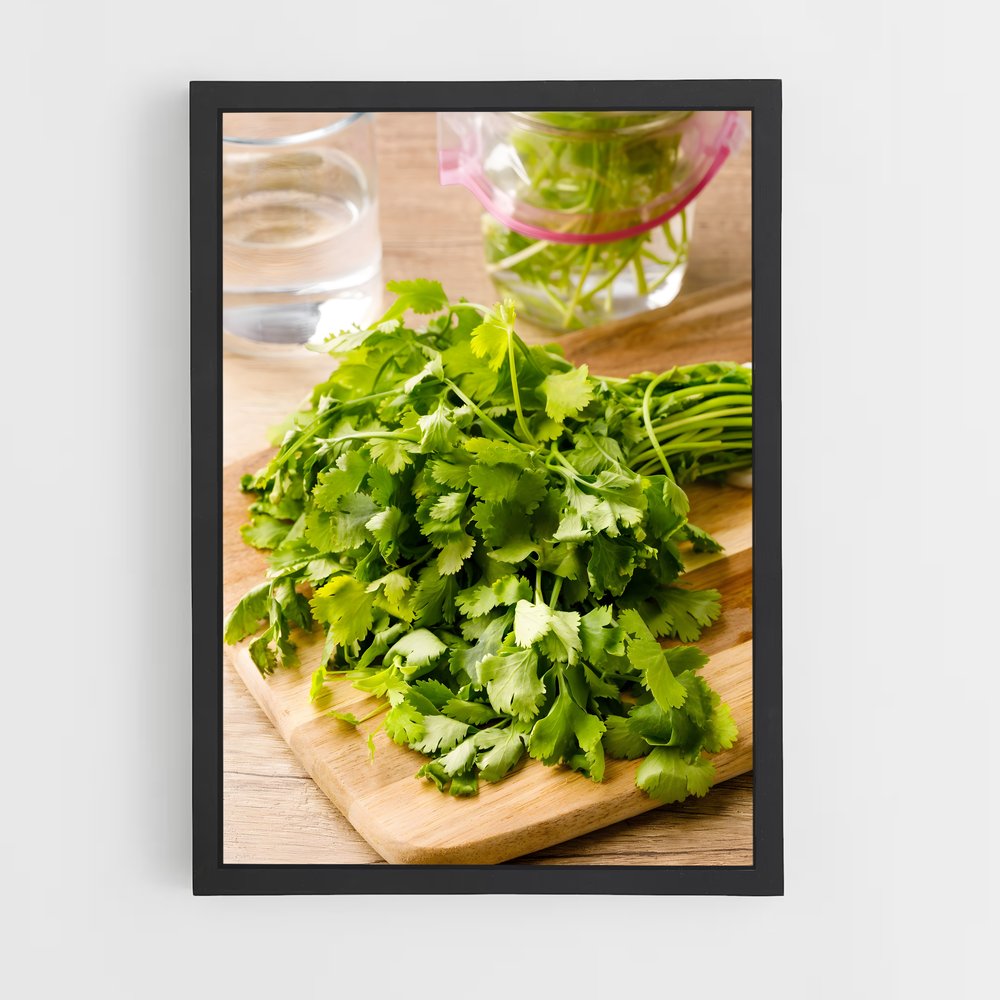ap-cilantro-1 cadre Noir