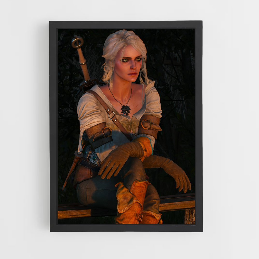 ap-ciri witcher-2 cadre Noir