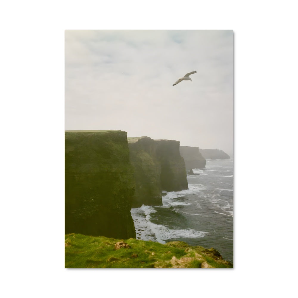 Poster Liberté Céleste