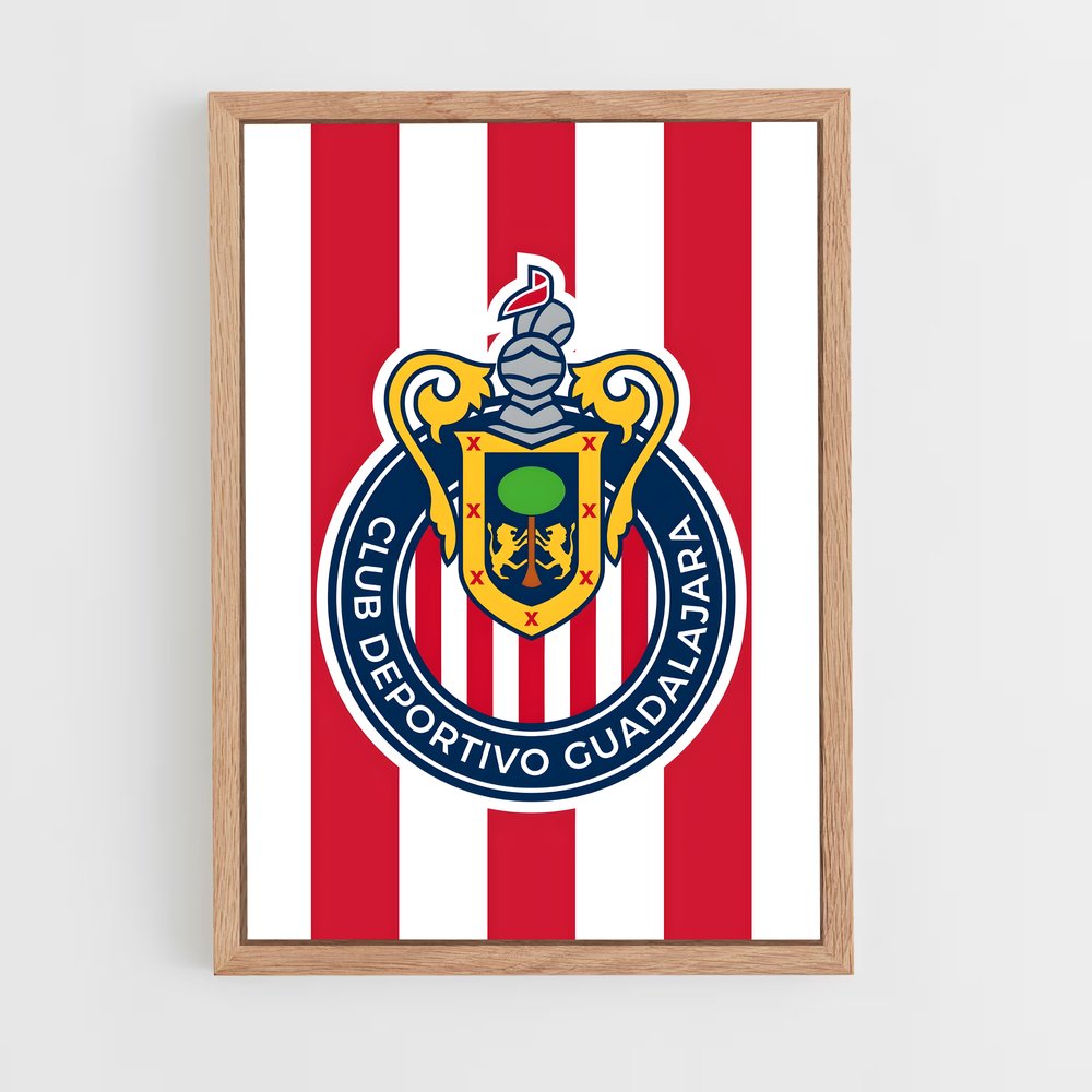 ap-club deportivo guadalajara-2 cadre Bois clair