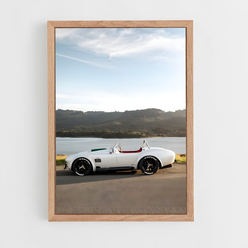 ap-cobra 427-1 cadre Bois clair