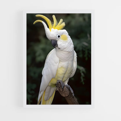 ap-cockatoo-1 cadre Blanc