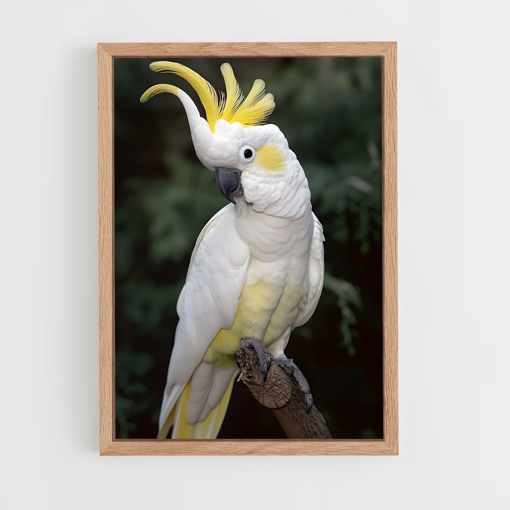 ap-cockatoo-1 cadre Bois clair