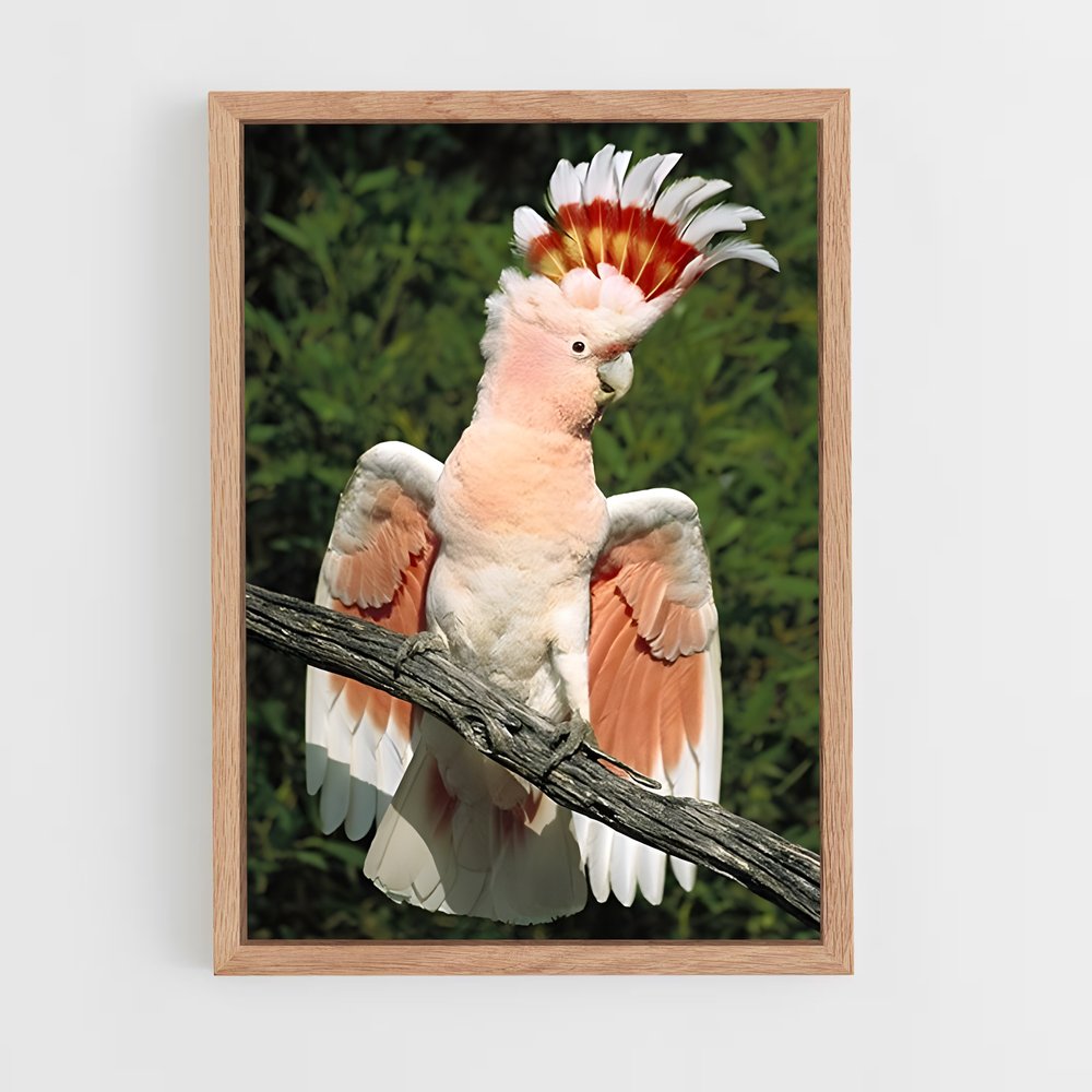 ap-cockatoo-3 cadre Bois clair