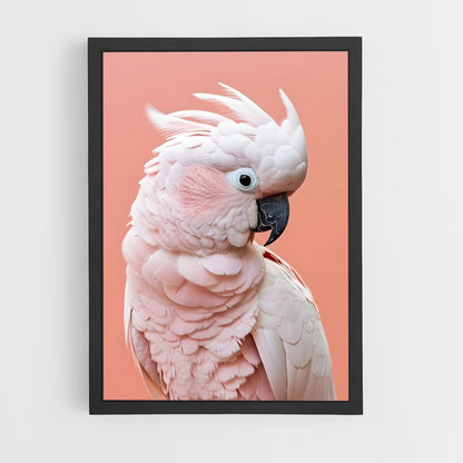 ap-cockatoo-5 cadre Noir