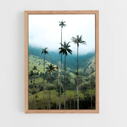 ap-cocora valley-2 cadre Bois clair