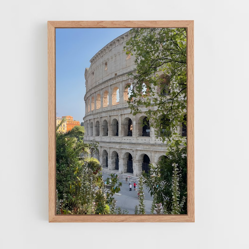 ap-colosseum-12 cadre Bois clair
