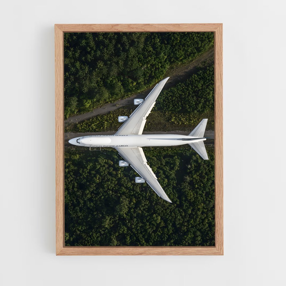 ap-commercial planes-8 cadre Bois clair