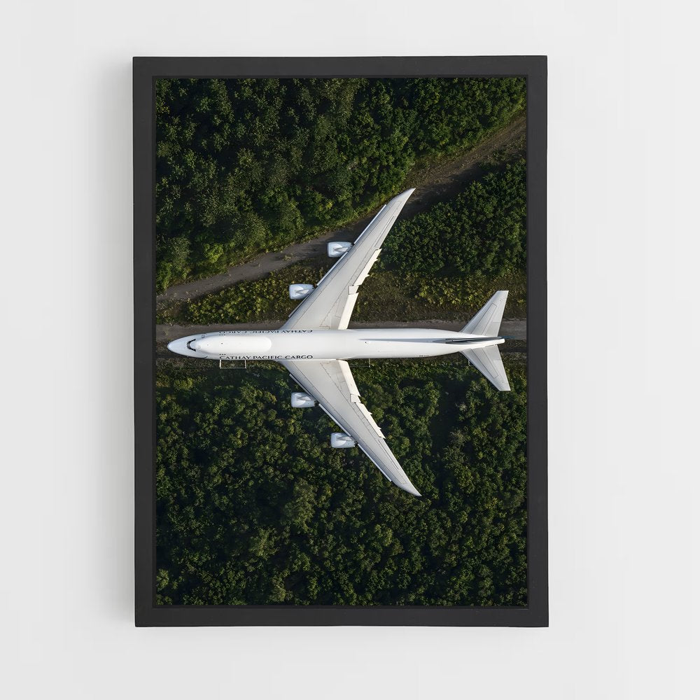 ap-commercial planes-8 cadre Noir