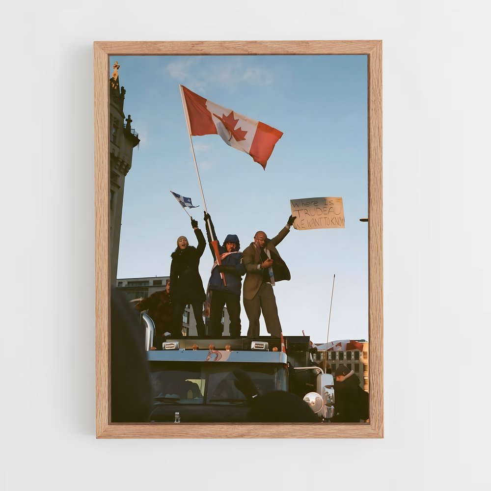 ap-conservative party canada-1 cadre Bois clair