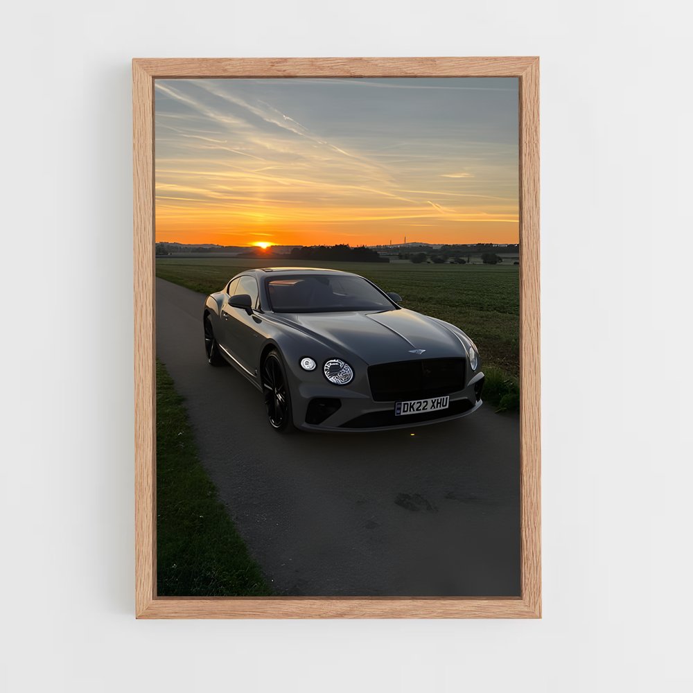 ap-continental gt speed-4 cadre Bois clair