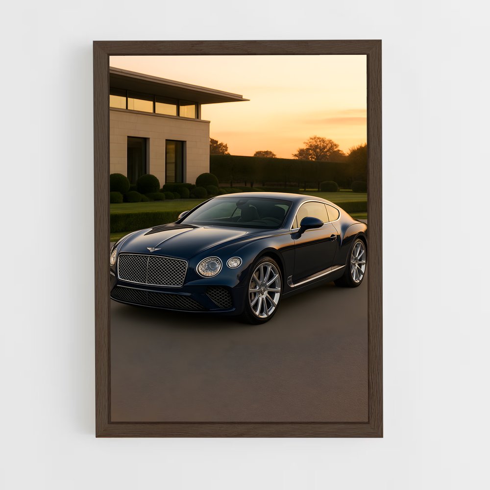 ap-continental gt speed-5 cadre Bois foncé