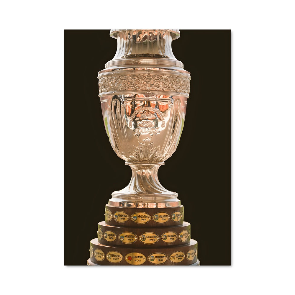 Poster Copa america 70252