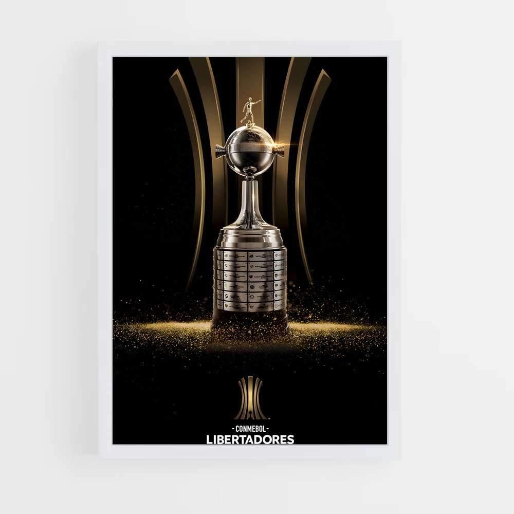 ap-copa libertadores-2 cadre Blanc