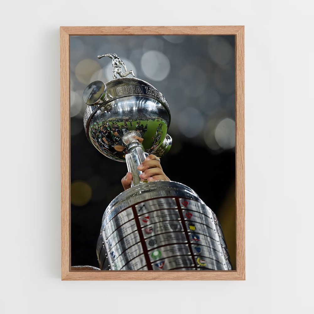 ap-copa libertadores-4 cadre Bois clair