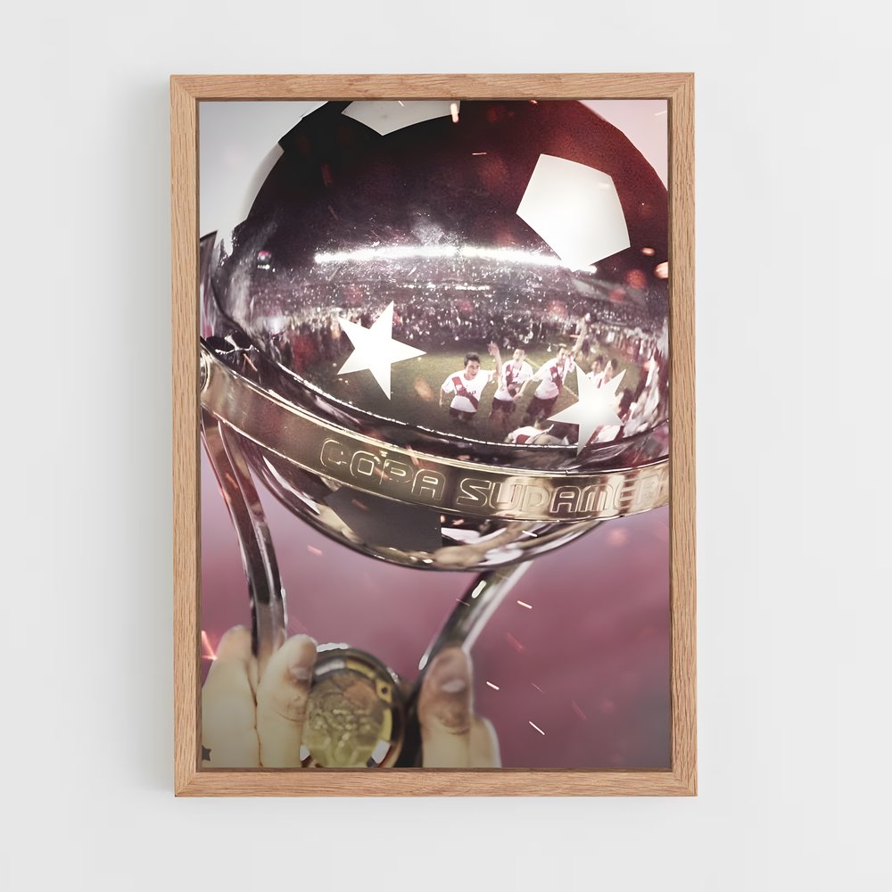 ap-copa sudamericana-1 cadre Bois clair