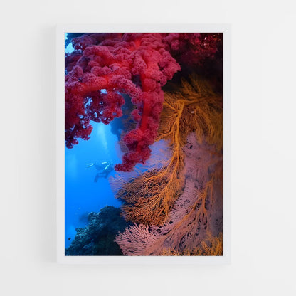 ap-coral reef-7 cadre Blanc
