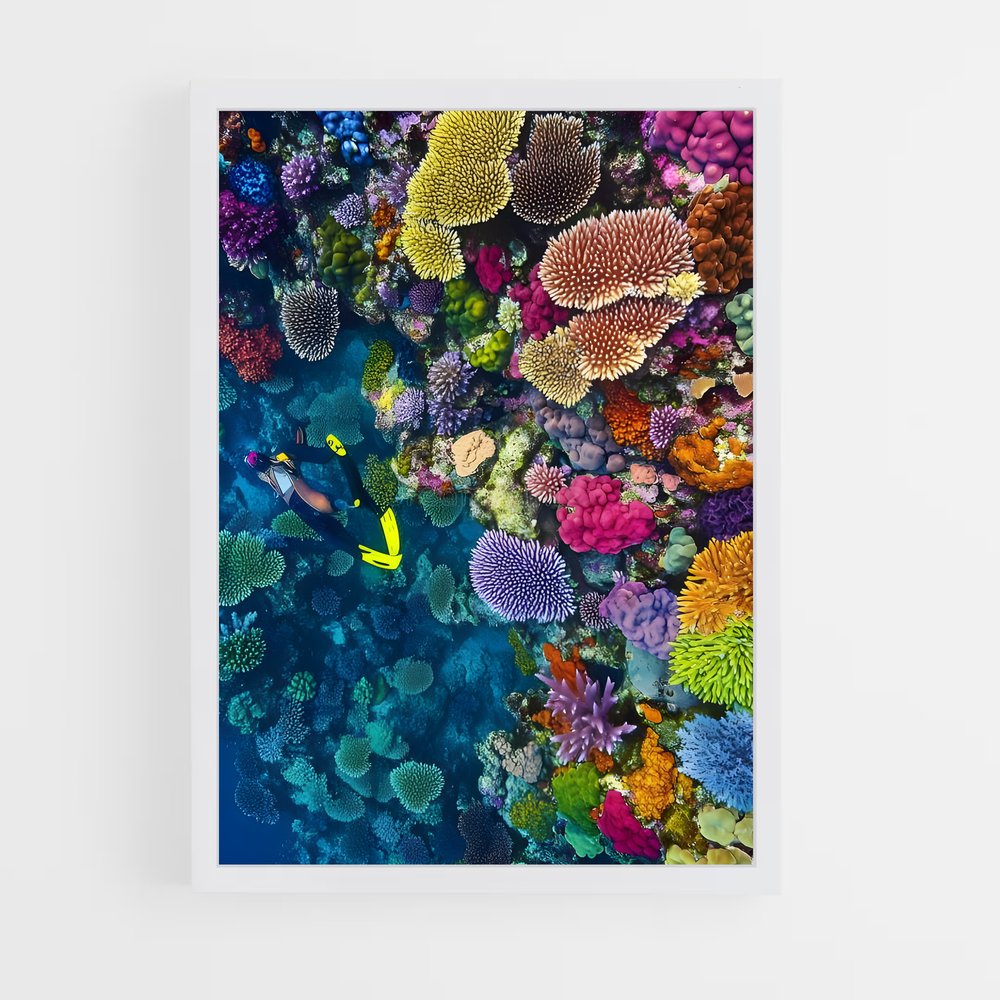 ap-coral reef-9 cadre Blanc