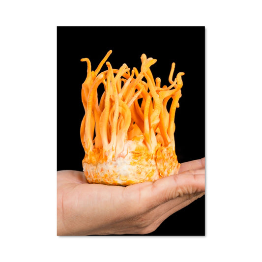 Poster Gourmandise Étrange