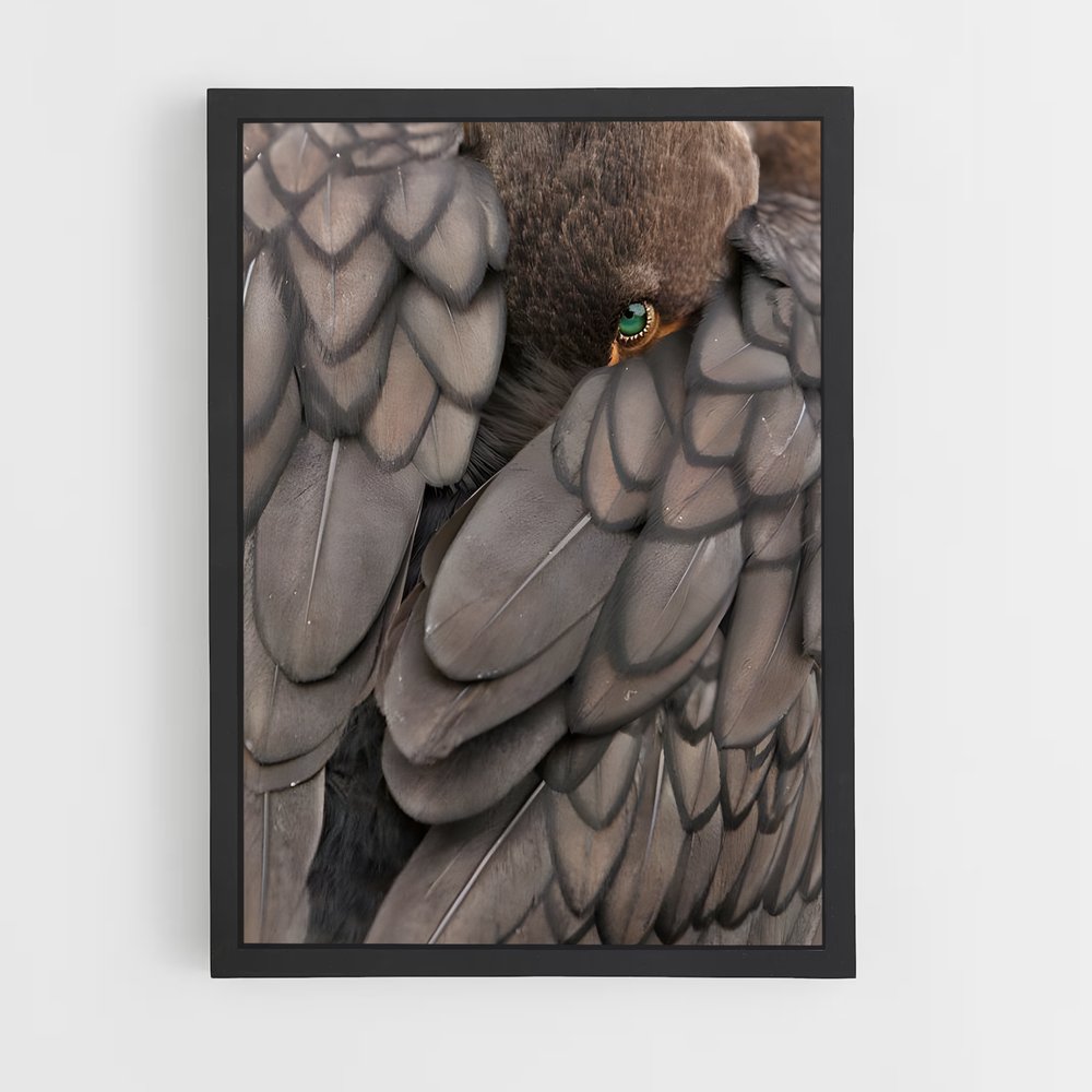 ap-cormorant-5 cadre Noir