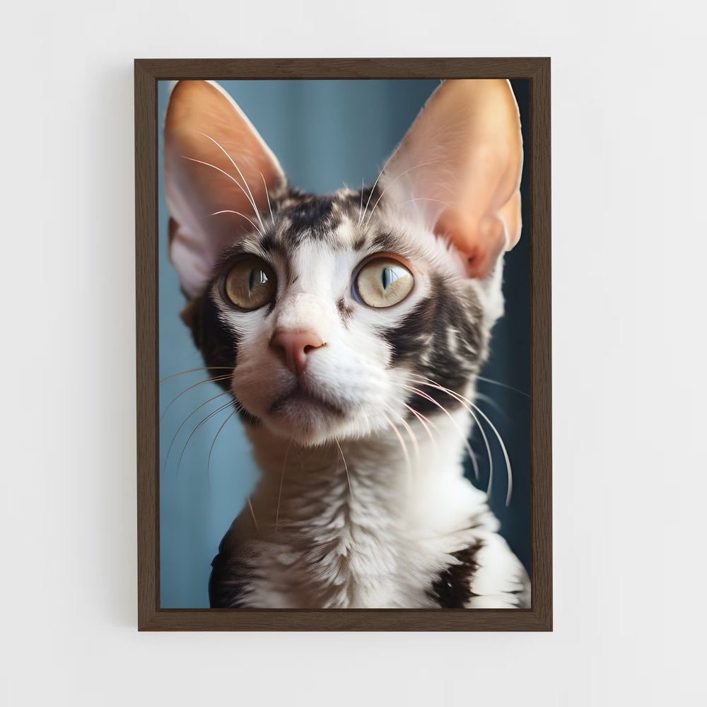 ap-cornish rex-3 cadre Bois foncé