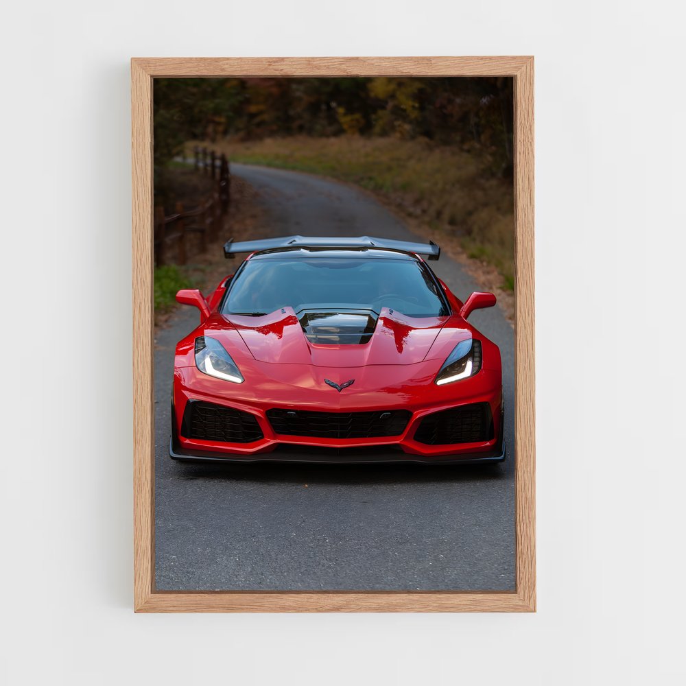 ap-corvette c7 zr1-1 cadre Bois clair