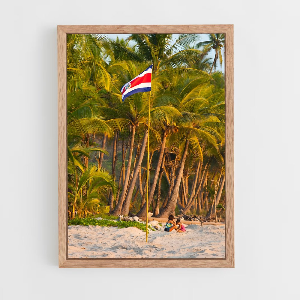 ap-costa rica flag-1 cadre Bois clair