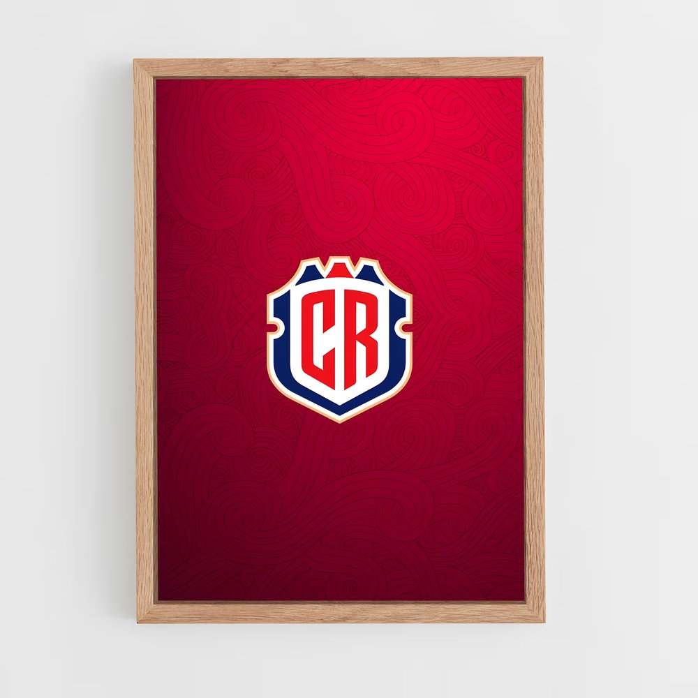 ap-costa rica national football team-1 cadre Bois clair