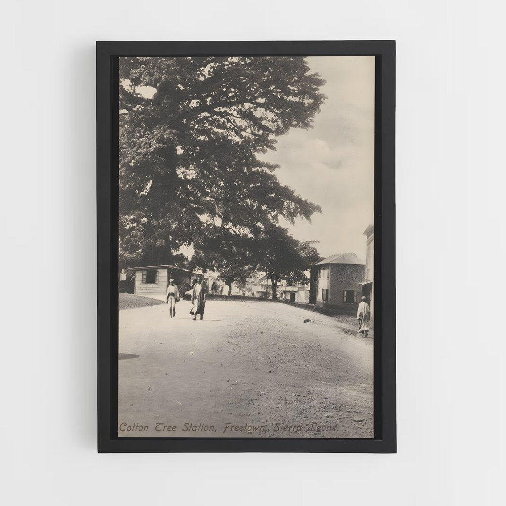 ap-cotton tree freetown-1 cadre Noir