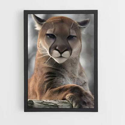 ap-cougar-1 cadre Noir
