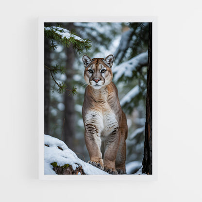 ap-cougar-5 cadre Blanc
