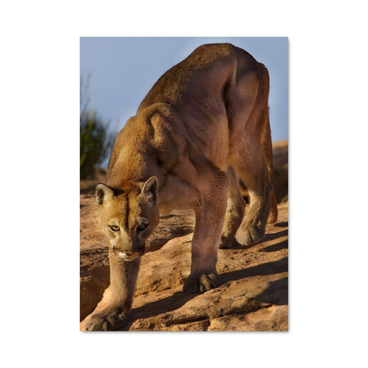 Poster Majesté des Montagnes