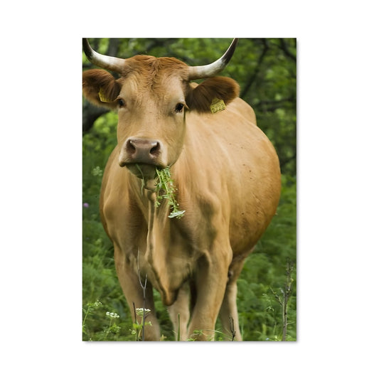 Poster Vache Gourmande