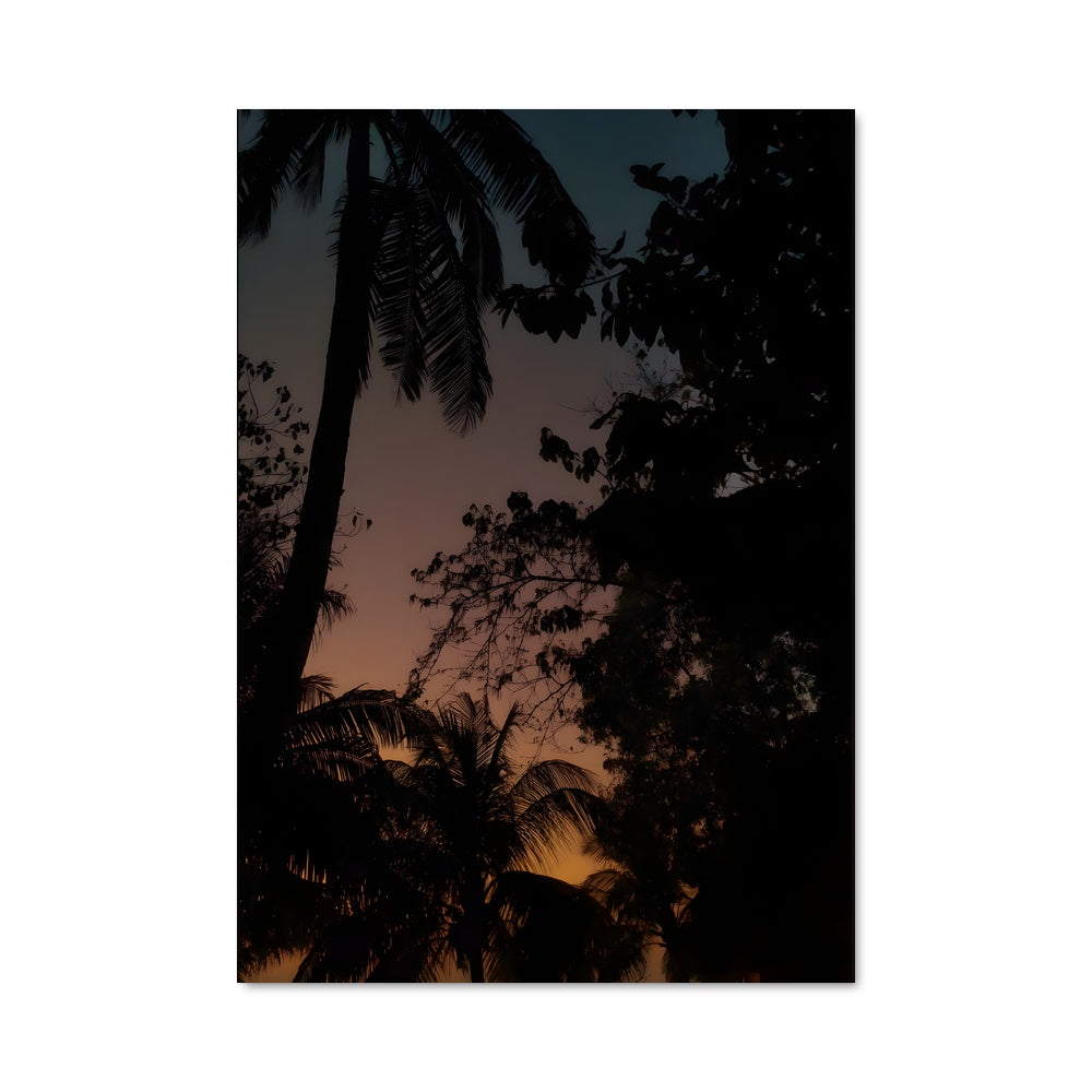 Poster Coucher de Palma