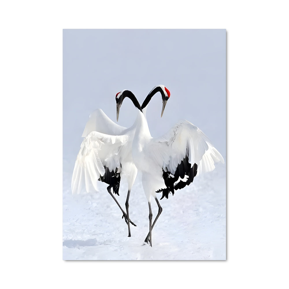 Poster Duel des Grues