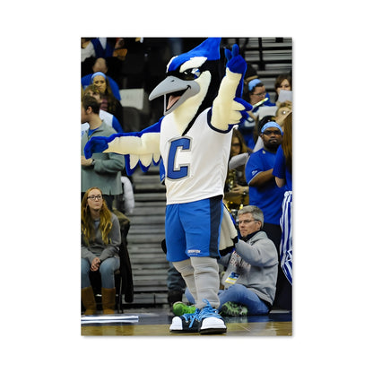 Poster Creighton bluejays 59122
