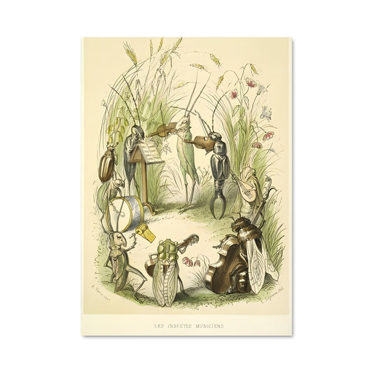 Poster Cricket en Fête