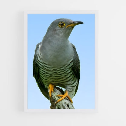ap-cuckoo-1 cadre Blanc