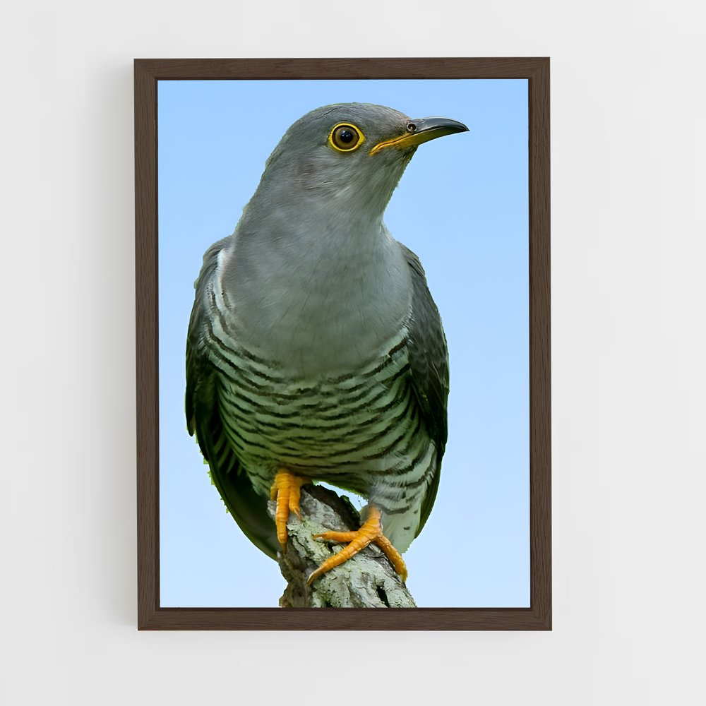 ap-cuckoo-1 cadre Bois foncé