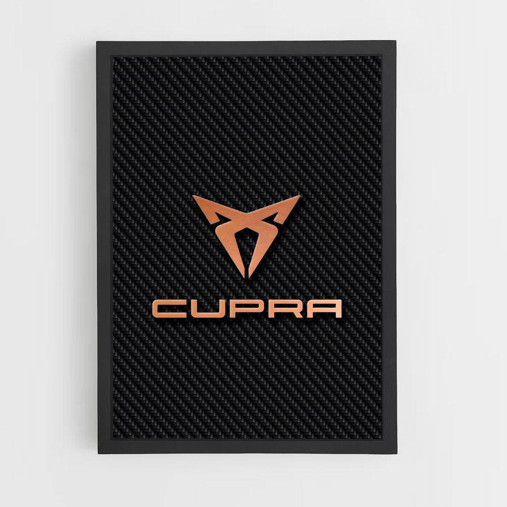 ap-cupra-1 cadre Noir