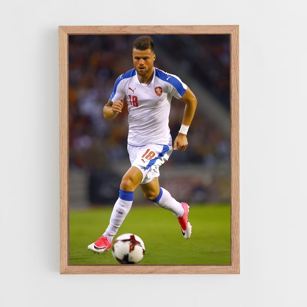 ap-czech republic national football team-1 cadre Bois clair