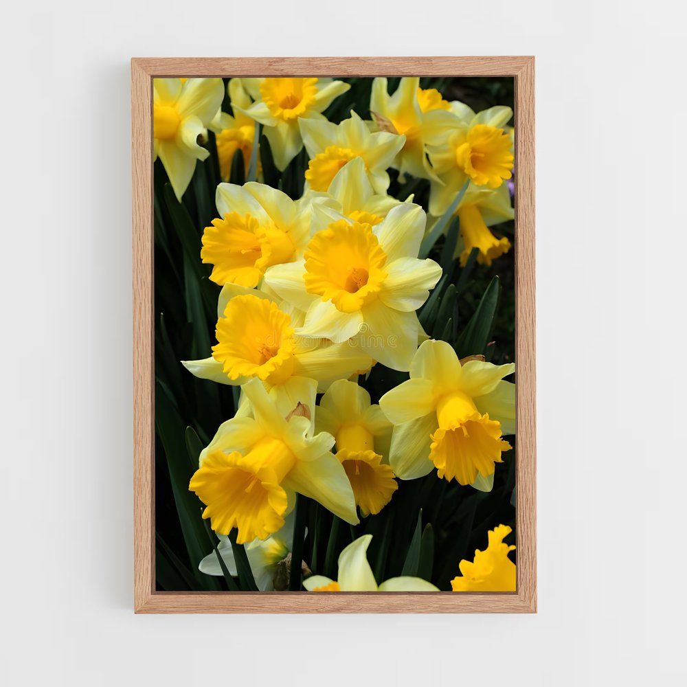 ap-daffodil-3 cadre Bois clair