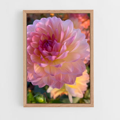 ap-dahlia-7 cadre Bois clair